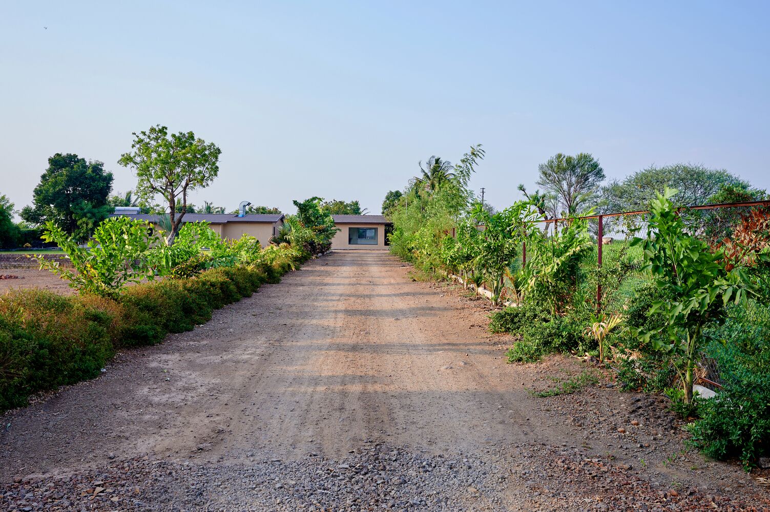 RAJ_2579 copy