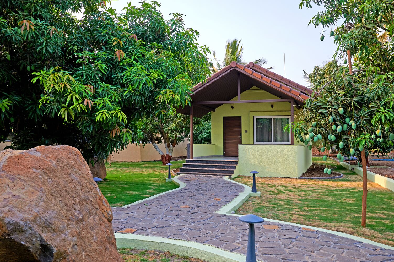 RAJ_2605 copy